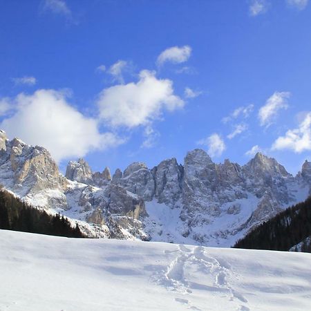 Casa Fiemme Panchiaアパートメント エクステリア 写真