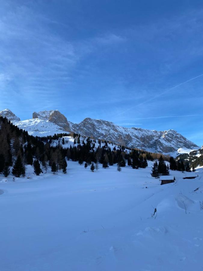 Casa Fiemme Panchiaアパートメント エクステリア 写真